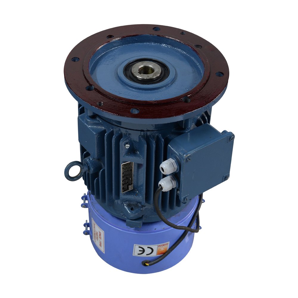 Hollow Shaft Motors