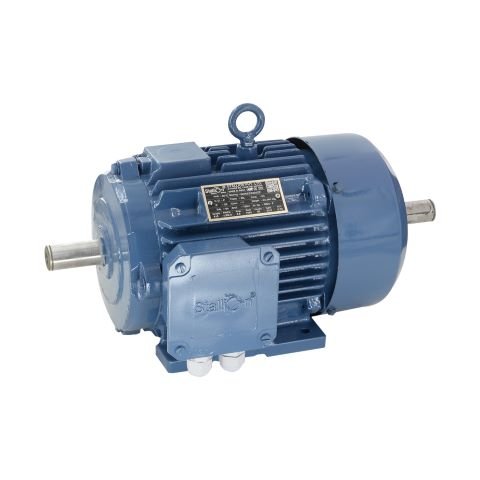 Customized Electric Motor